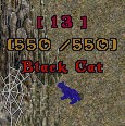 Black Cat 13.jpg