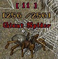 Giant Spider 11.jpg